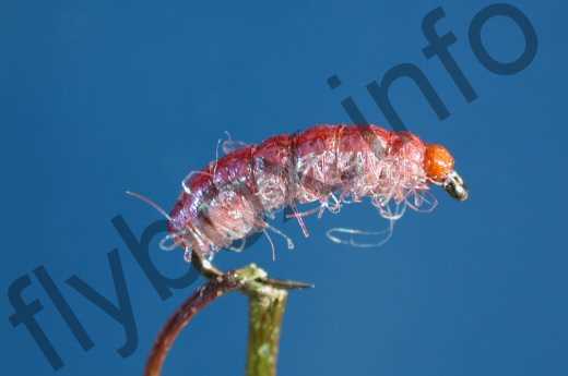 Fish4Flies Pink Bug